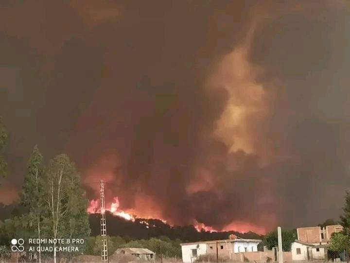 AsmaMerouani's tweet photo. اللهم بردا وسلاما على أهلنا في الولايات الجزائر التي تحاصرها ال��يران (سوق أهراس،طارف)
اللهم الطف بإخواننا وأحفظهم وأجعل الحرائق بردا وسلاما عليهم يارب.
#الدكتورة_مرواني_أسماء https://t.co/kMcBU9jYIm