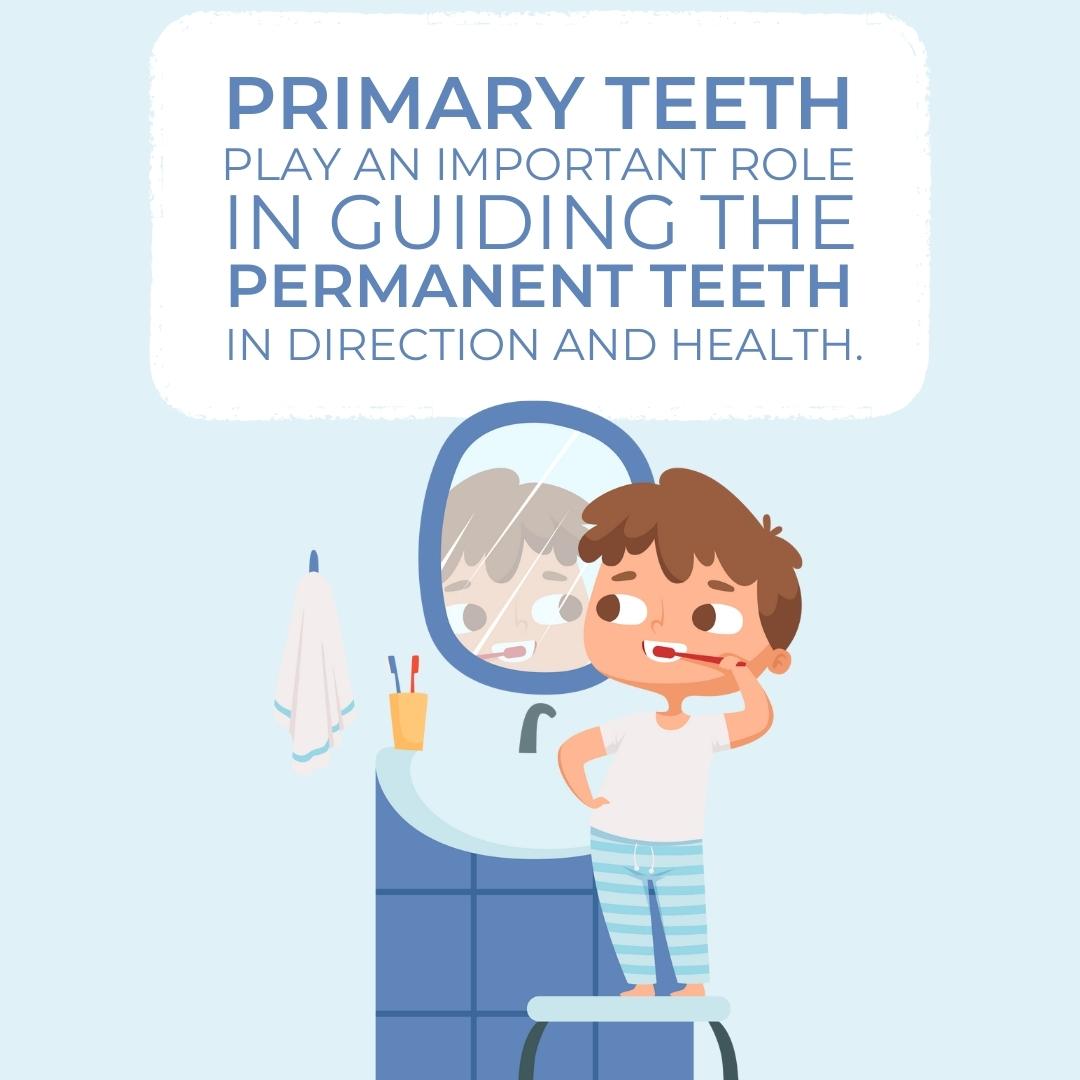 MesaDental's tweet photo. TAKING CARE OF primary teeth is just as important as taking care of permanent teeth! #PrimaryTeeth #PermanentTeeth #OralHealth #SanDiegoDentist #MesaDental https://t.co/oO1aPJPkfo