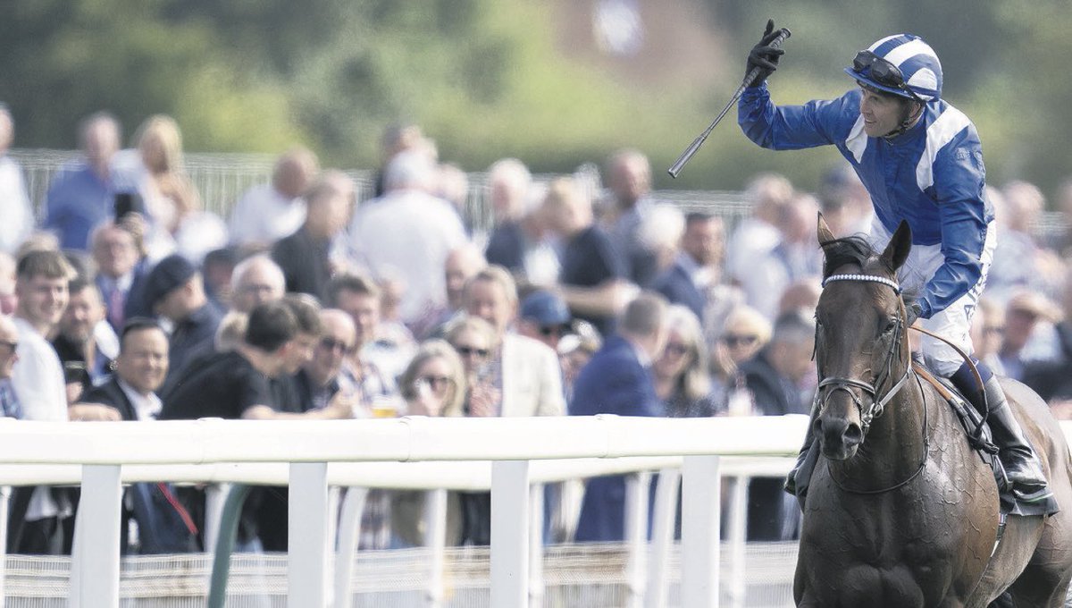 the racing newsletter tweet media