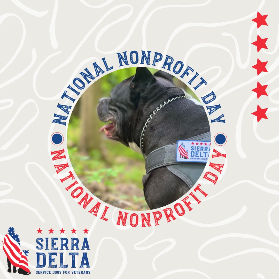 Sierra Delta: Service | Dogs | Veterans tweet media