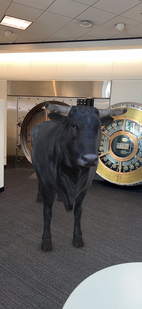fLiGhtofMAdbuLL's tweet photo. When I say ” #Cardano #MAdbuLL is the way” u can take that statement to the bank 😡🐮🤘 $ADA https://t.co/3iUDGfKRvS