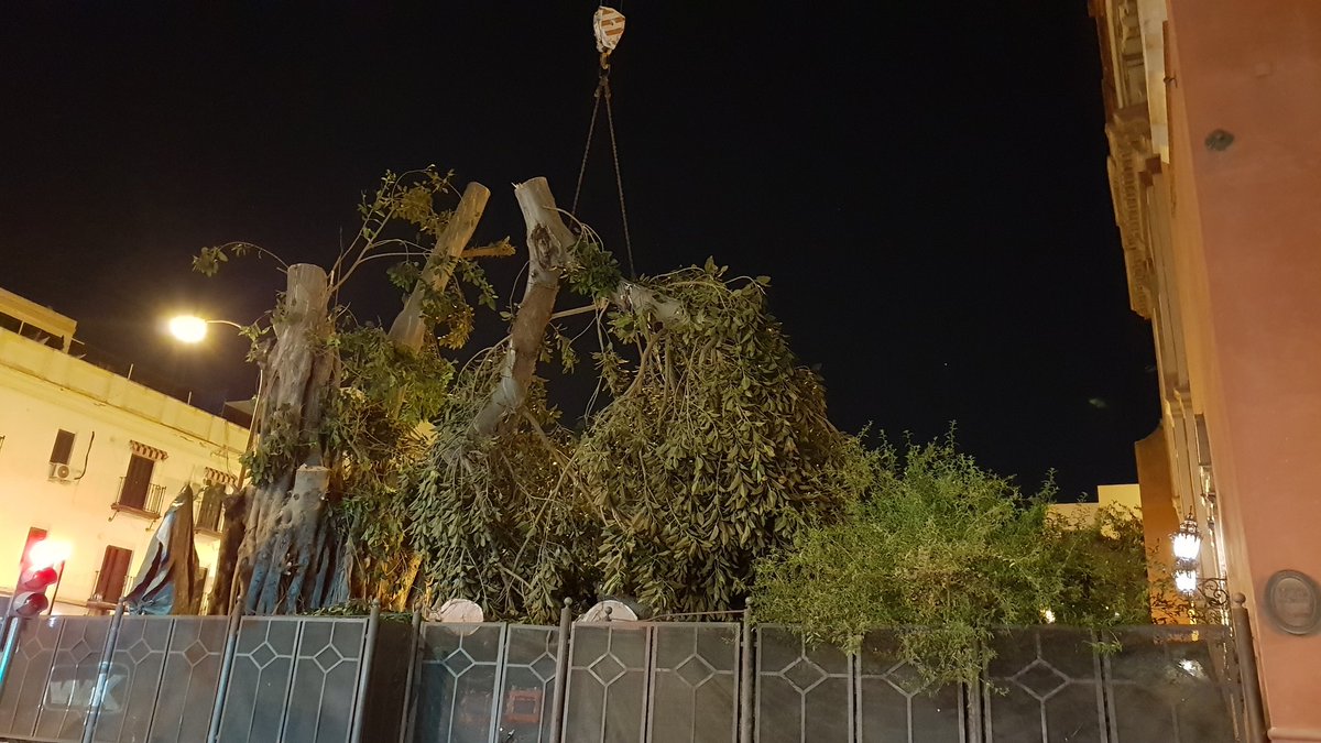 Con nocturnidad y alevosía el Ayuntamiento de Sevilla, la Iglesia y la Policía se lo han cargado.