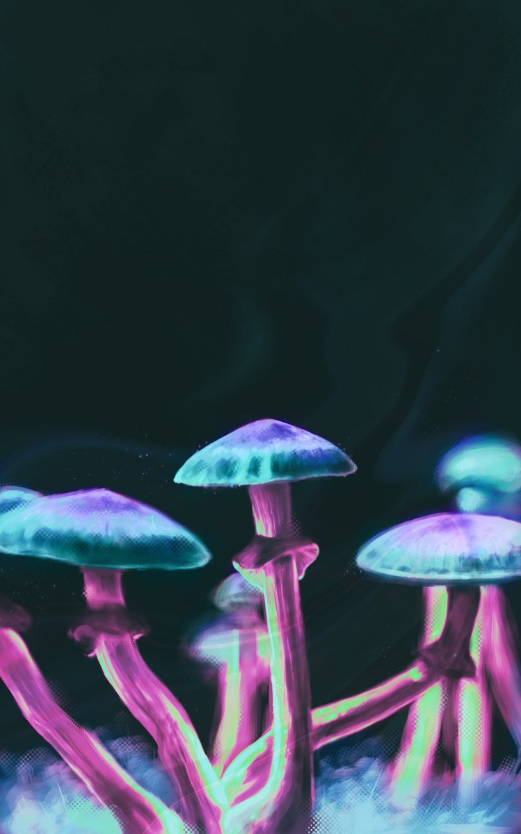 🍄 #WIP