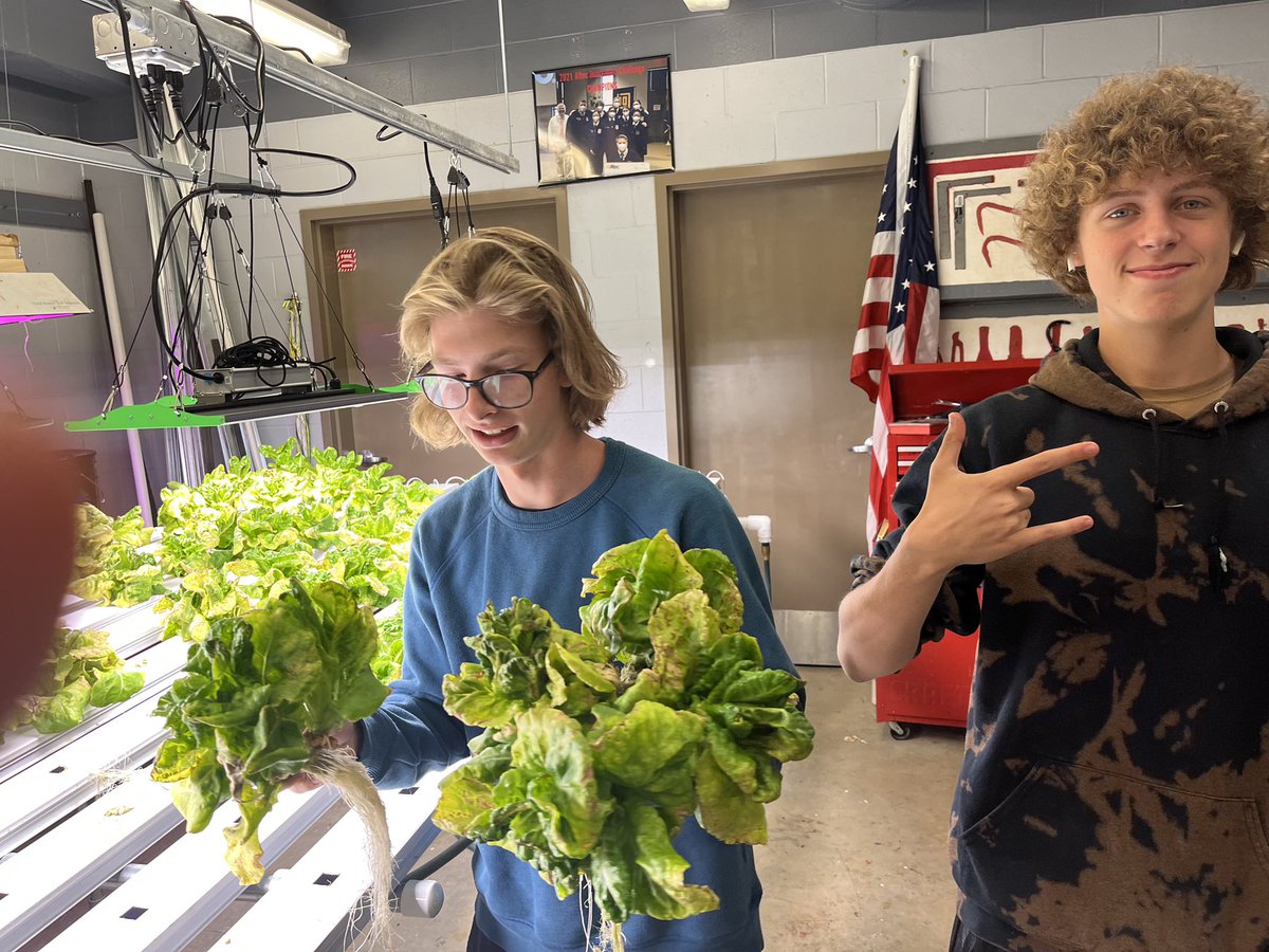 More lettuce from the Aquafood lab going to the plates of our student body! #ifyougrowittheywilleatit #STEM #projectbased #schoolbasedenterprise @gojohnhardin @HardinCoSchools