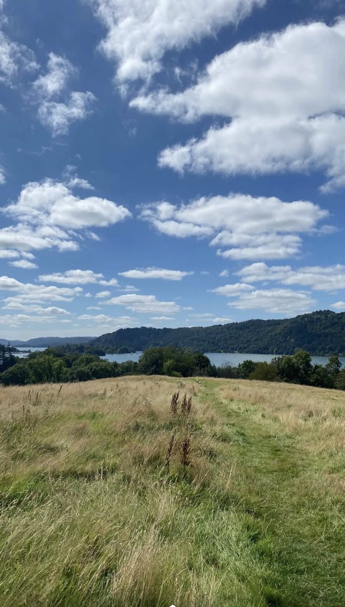 Abdullah Harbi tweet media