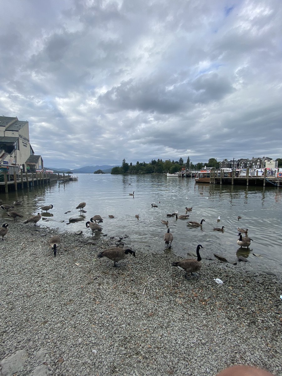 Abdullah Harbi tweet media