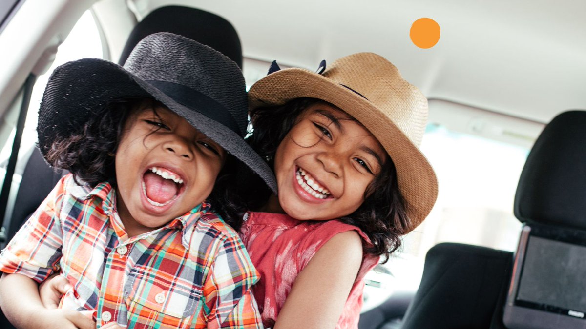 Niko Car Seat Cover tweet media