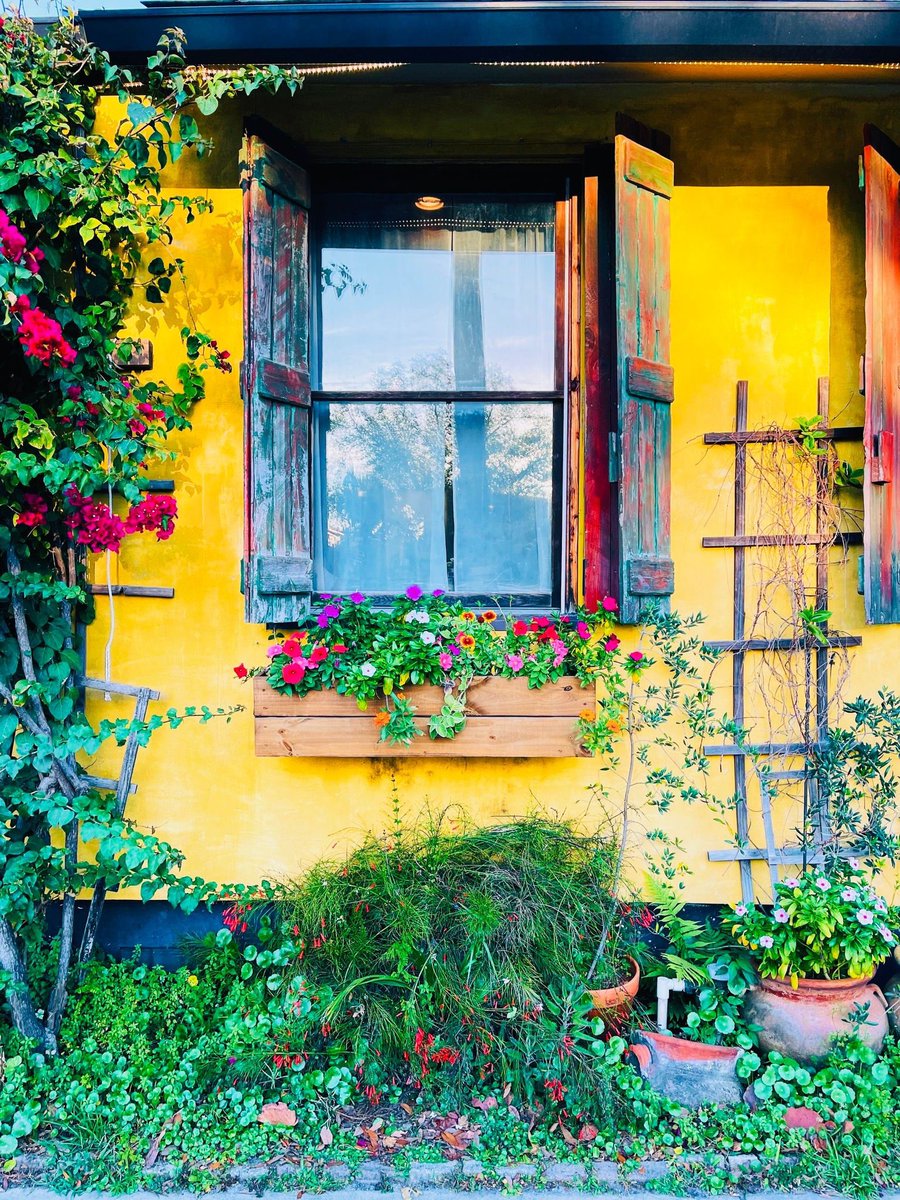 VisitSPC's tweet image. With it’s amazingly delicious Italian cuisine, extensive wine list, and sidewalk dining, this charming “Old World” restaurant in Gulfport will have you feel like you’re dining on the actual streets of Italy! Have you ever dined at Pia's Trattoria? 🇮🇹🍝🍷 #Gulfport #Florida