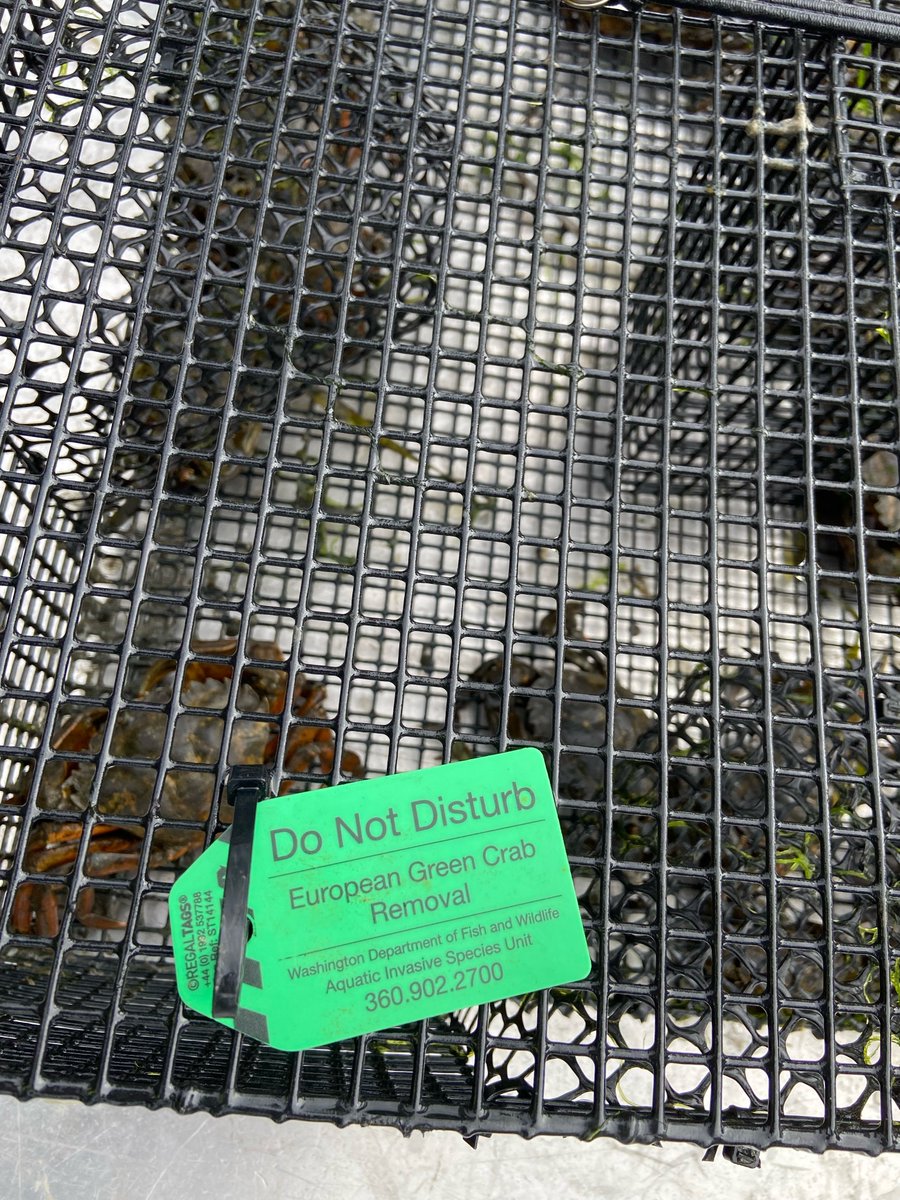 WASeaGrant's tweet photo. Our @Russell_Oceans joined Willapa Grays Harbor Oyster Growers Assoc. to look at the impacts of invasive species on coastal ecosystems &amp; the oyster industry. State legislators, tribal council members &amp; others joined the field trip. Together, we are dedicated to finding solutions. https://t.co/wGDX8oO4lb