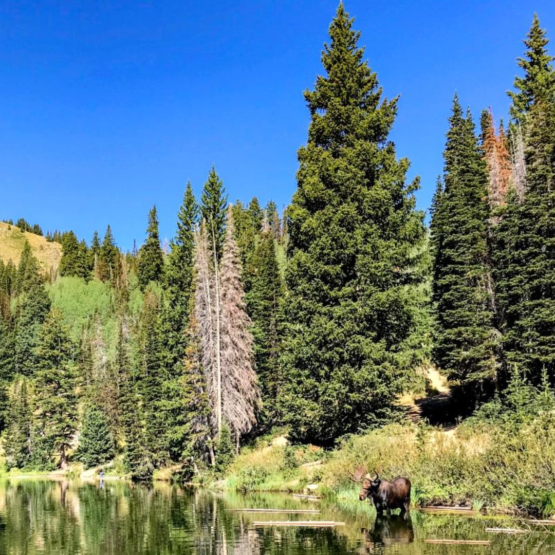 Always on the lookout to make a new friend. ❤️