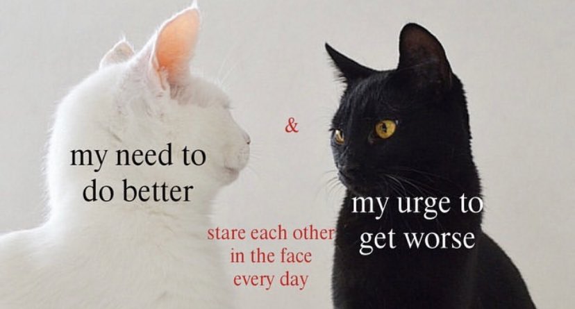 ✧ (@northstardoll) on Twitter photo 