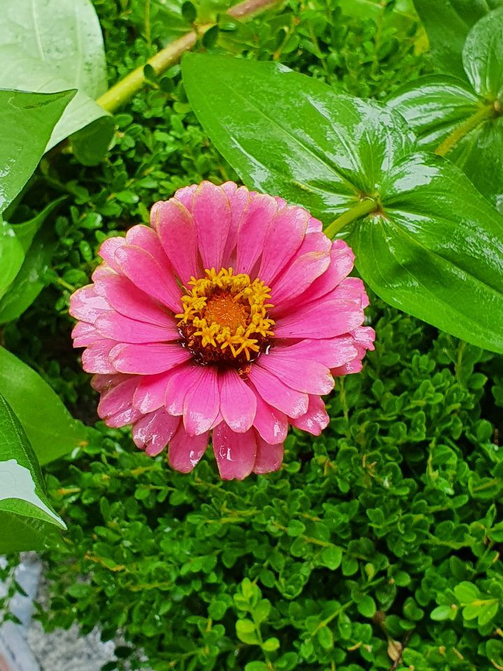스스로를 신뢰하라
여러분은 예러분이 안다고
생각하는 것보다 더 많이 안다.