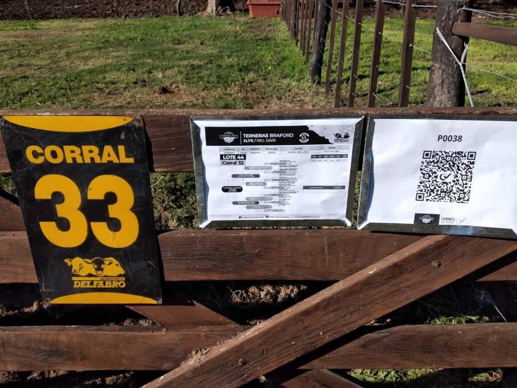 Origino_io's tweet photo. 🐂 Los mejores remates se viven de la mano de @Origino_io 
En 𝗧𝗼𝗸𝗲𝗻𝗶𝘇𝗲 &amp; 𝗧𝗿𝗮𝗰𝗲 by @Origino_io seguimos formando parte de la cadena productiva ganadera, realizando la 𝘁𝗼𝗸𝗲𝗻𝗶𝘇𝗮𝗰𝗶𝗼́𝗻 𝘆 𝘁𝗿𝗮𝘇𝗮𝗯𝗶𝗹𝗶𝗱𝗮𝗱 𝗮𝗺𝗽𝗹𝗶𝗮𝗱𝗮 𝗯𝗹𝗼𝗰𝗸𝗰𝗵𝗮𝗶𝗻. https://t.co/JMWizYuKcD