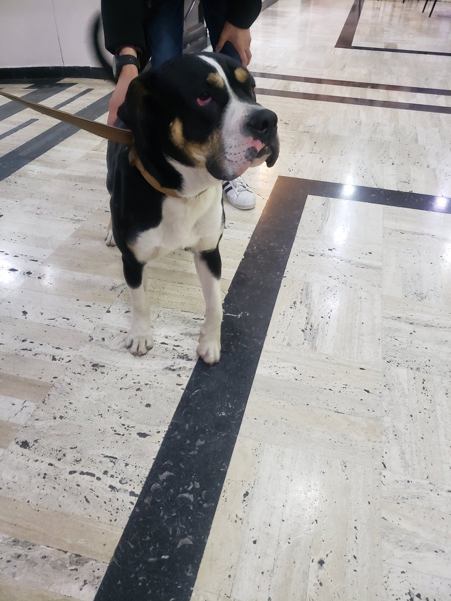 Busca su Familia y esta en Hacienda