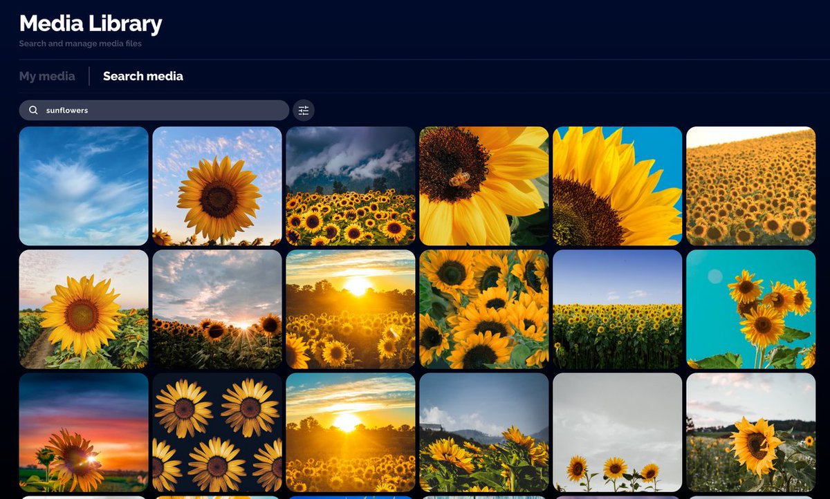 Have you tried our new media library? You can now download, create, save and organize all of your content in one place!📍 

Try Metigy for free: metigy.com/pricing/