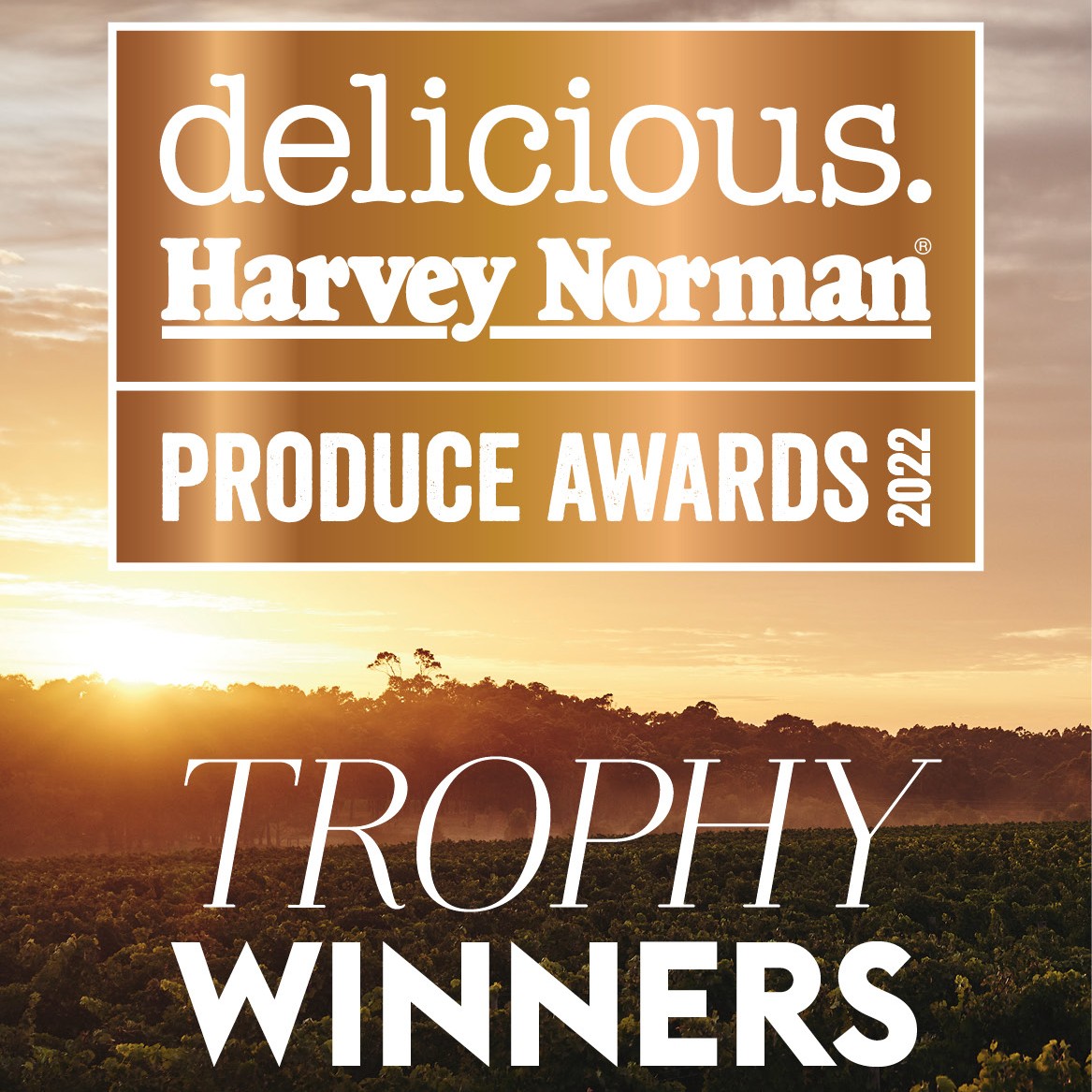 SobahBeverages's tweet photo. We're so stoked to be one of this year's 'DELICIOUS. HARVEY NORMAN PRODUCE AWARDS 2022' WINNERS!! Gaba nginda! @deliciousAUS @HarveyN94473303 Congratulations to all winners inc. @blackduckfoods Humbled to be amongst this crowd! Yalu! #DeliciousMagazine #ProduceAwards2022 https://t.co/YiConm9Y1z