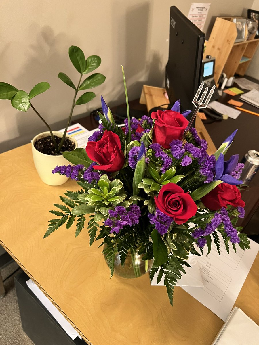 WheresMsBrown's tweet photo. No back to school pictures of me because let’s face it, today was a lottle chaotic. But starting year 12 off on my favorite kind of start-the kind that involves plants 🪴 😍 my fiancé and friends know what I like #crazyplantlady #year12 #firstdayofschool #OPSProud https://t.co/11SiB2Vff5