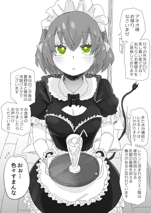 パーフェクトメイドロボがちょっとめんどくさい 
