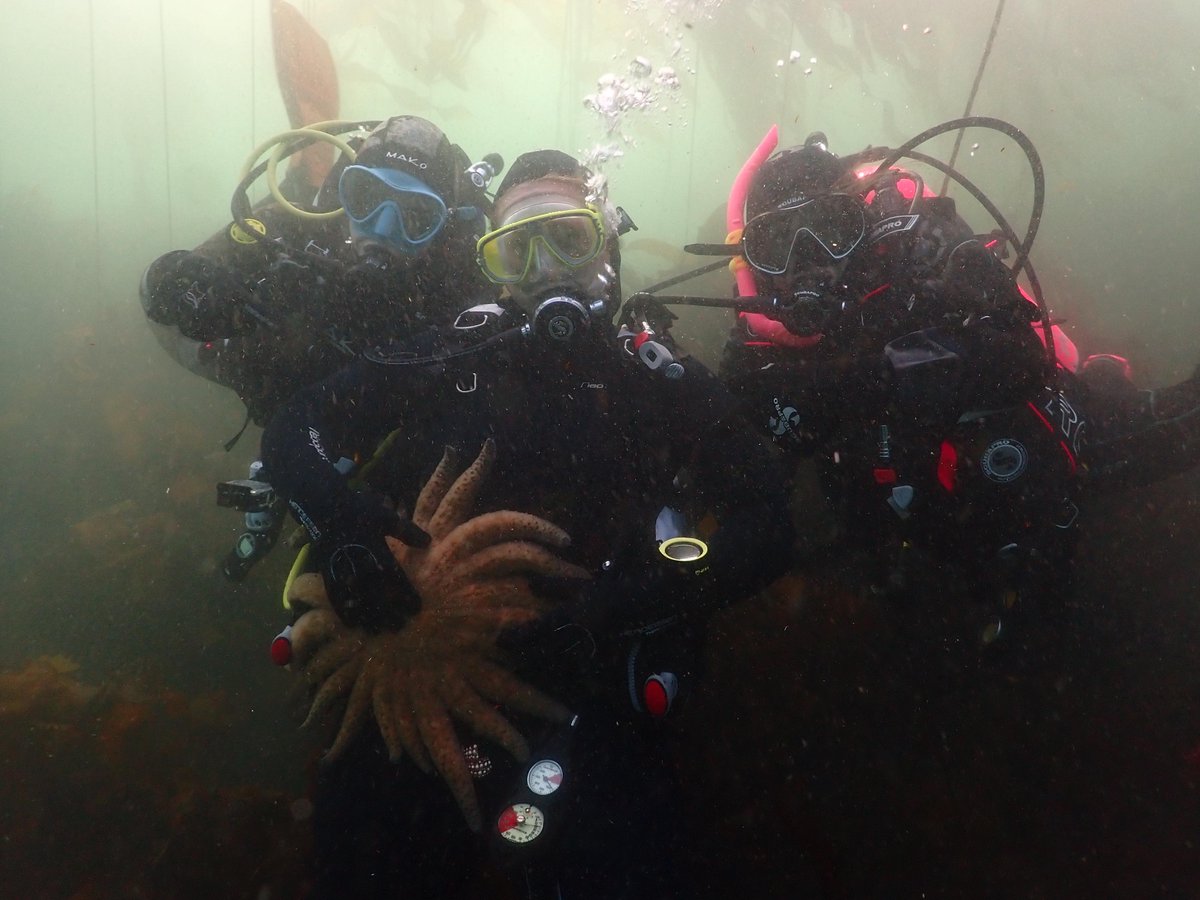 Friday Harbor Labs tweet media