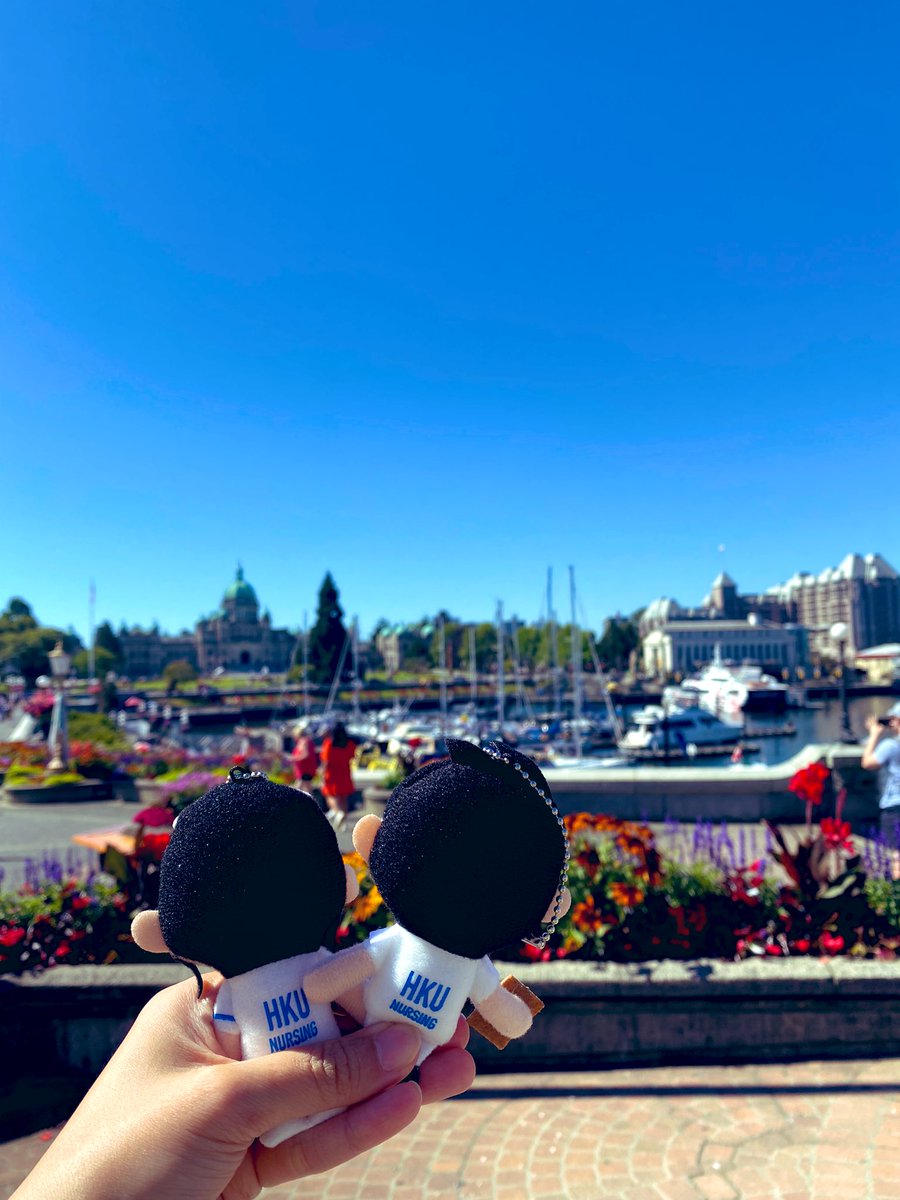 Denise Cheung (@denisecheung2) on Twitter photo Such a wonderful time in Victoria - a city rich in history, culture, and beauty. Excited to take the cross-country/discipline collaborations forward! #DigitalHealth #ExercisePsychology #oncology <a href="/hku_son/">HKU Nursing</a> <a href="/uvic/">UniversityOfVictoria</a> Such a wonderful time in Victoria - a city rich in history, culture, and beauty. Excited to take the cross-country/discipline collaborations forward! #DigitalHealth #ExercisePsychology #oncology <a href="/hku_son/">HKU Nursing</a> <a href="/uvic/">UniversityOfVictoria</a>