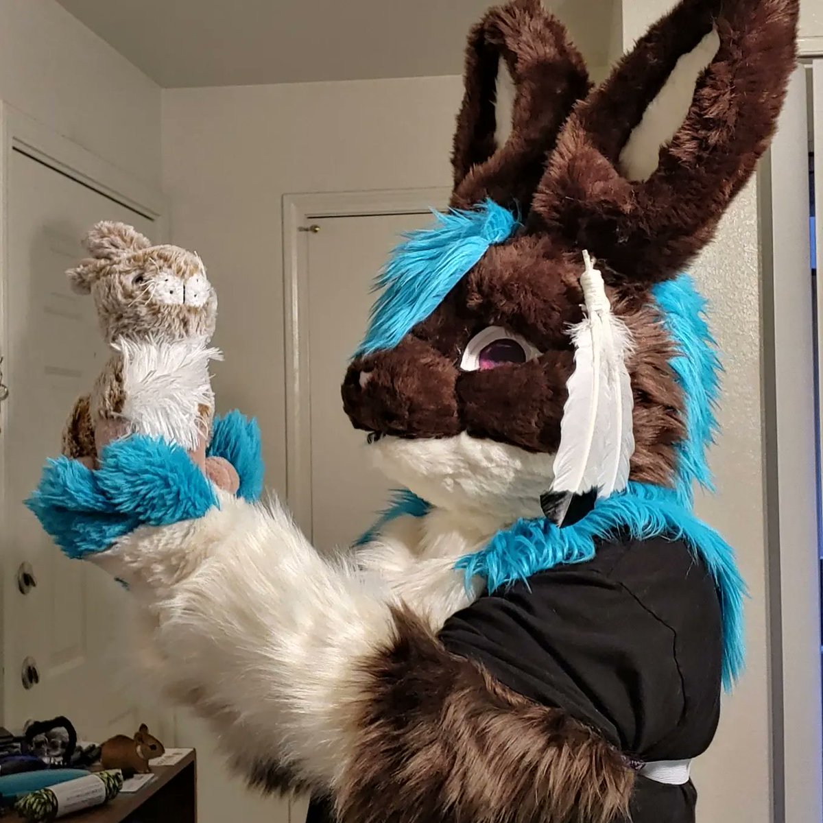 RadTacRabbit's tweet photo. The bun bros are Desert Cottontail rabbits. https://t.co/nYouaduRlg