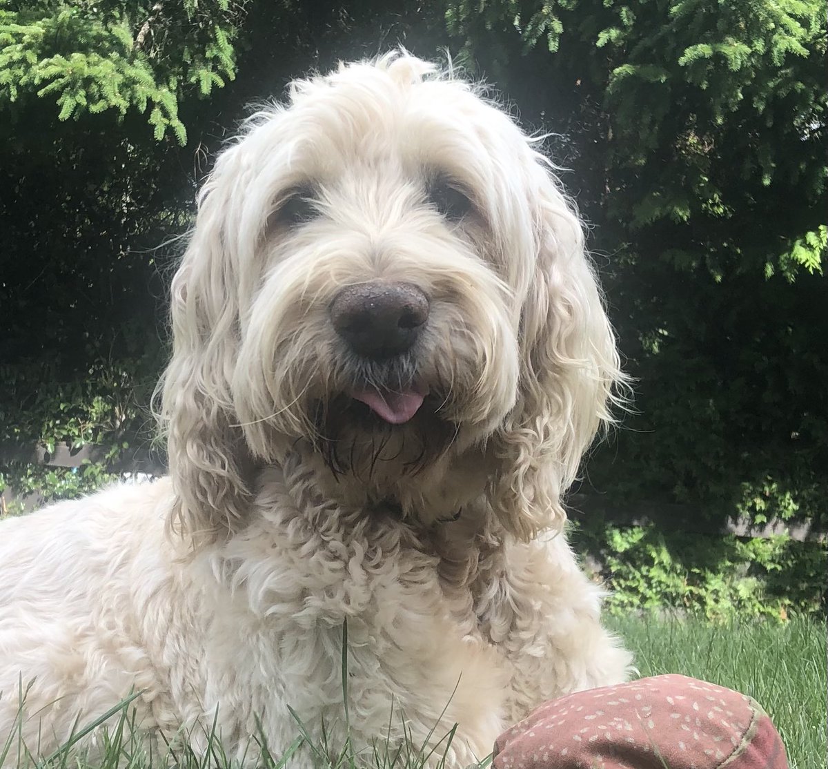 Ted Olynyk 🇺🇦 tweet media