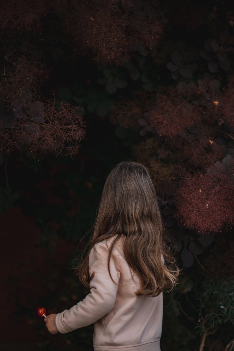 britalamillo's tweet photo. Suckers and smoke trees. 🍭 #portrait #portraitphotography #portraiture #family #familia #pdxportrait #familyphotography #naturallightphotography #nft #nftphotography https://t.co/yIrfCkrTSF