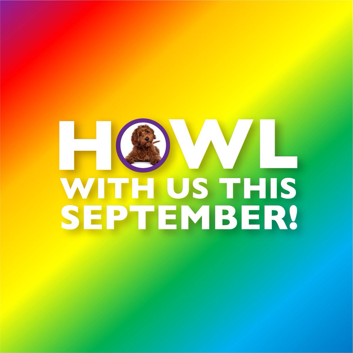Come one come all! Let's get our tickets for the greats show in town! La's First Musical Pet Adoption! September 10th and 11th! pupachewstory.com/tickets #la #hollywood #breakmysoul #biden #musicals #adopt #puppies #fun #events