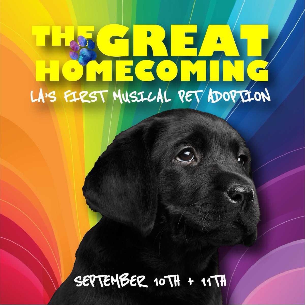MarcusTerrell's tweet photo. Come one come all! Let's get our tickets for the greats show in town! La's First Musical Pet Adoption! September 10th and 11th! https://t.co/QmGyO5cg72 #la #hollywood #breakmysoul #biden #musicals #adopt #puppies #fun #events https://t.co/AiqEj7d3SM