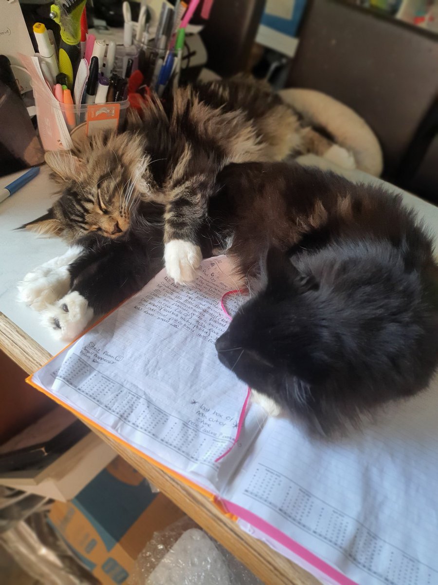 BenjaminaPCC's tweet photo. Comfy boys and toe beans 

Portocaliu 🧡 
Murasaki 💜 https://t.co/iBvKHwdt0T