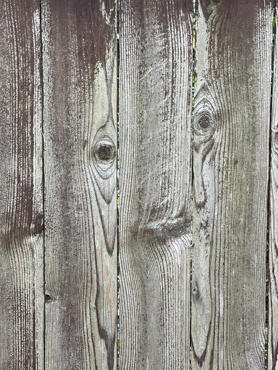DJHueShoots's tweet photo. #seeingfaces #iseefaces #iseefaceseverywhere #facehunter #iseefacesinthestrangestplaces #facesinthings #facesinplaces #faceseverywhere #face #thefacespotter #facefinder #iseefacesinthings #faces #iseefacesinplaces #faceonafence https://t.co/wU4drWwso4