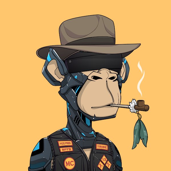 franalations23's tweet photo. Did zero research. Like the art and copped two @0xApes_NFT early this morning 🐒🐒 https://t.co/ajsQ6o4Ezx
