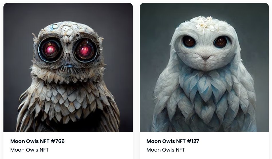 makaa_19's tweet photo. @MoonOwlsNFTs Just got these 2 beautiful "Moon Owls". This project is something special. Owls to the moon🌙 ! #MoonOwls https://t.co/8iwQEHASTq