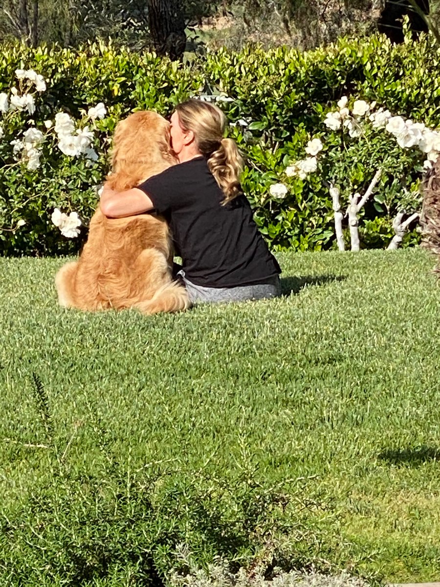 dionad's tweet photo. @AvonFoerster This is fabulous!  Thank you @AvonFoerster for the concise info! I have written about this as well (and I am a "doggie" fan!) 
https://t.co/gZW0pdUcR2 https://t.co/2uJOyM2rv8