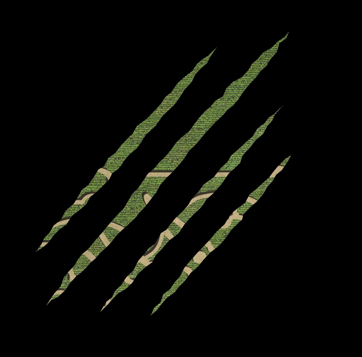 Fall is just around the corner and that means it's time to unveil our Fifer's 2022 corn maze theme. Any guesses?