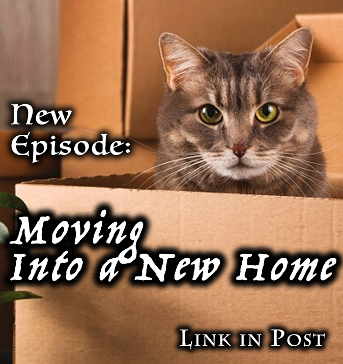 KittenKPod's tweet photo. https://t.co/oDzTkNDuhk

Territory is everything to a #cat - so moving to a new space is the most stressful life event our fur babies can experience. But there's plenty that their humans can do to make the transition a little easier. #catsoftwitter #podcastlift #podcast https://t.co/5IGlPCUXBE