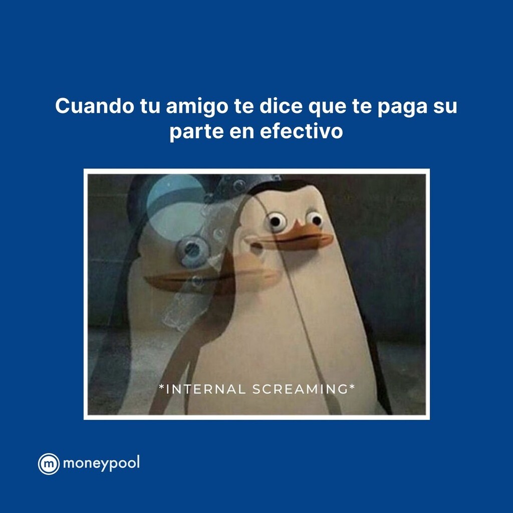 moneypoolapp tweet media