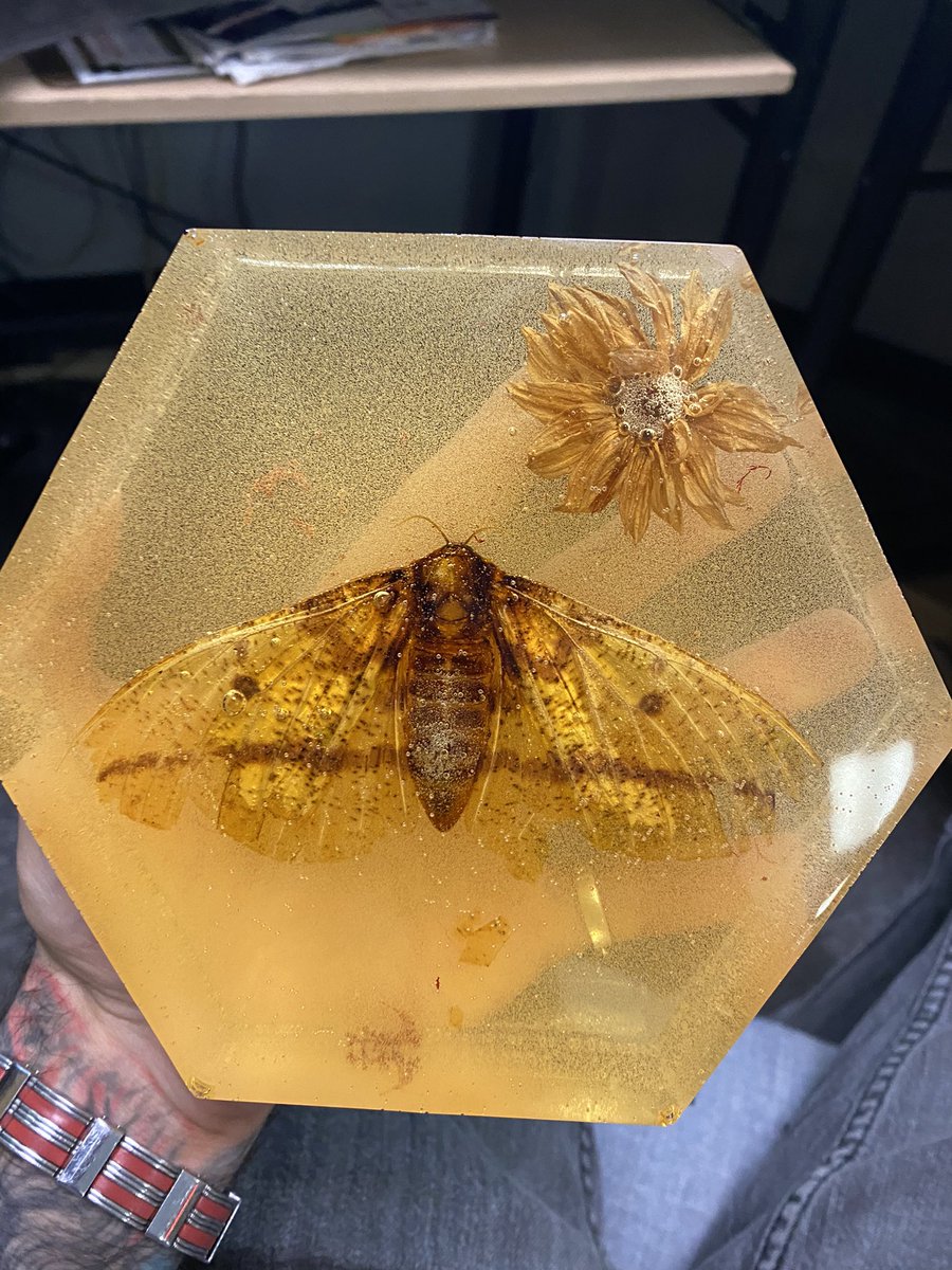 mastersantoro's tweet photo. Made a mold of my homie🦋 can check out the process on my Instagram https://t.co/5wYSDi7SFb https://t.co/UJUIVuT3i0