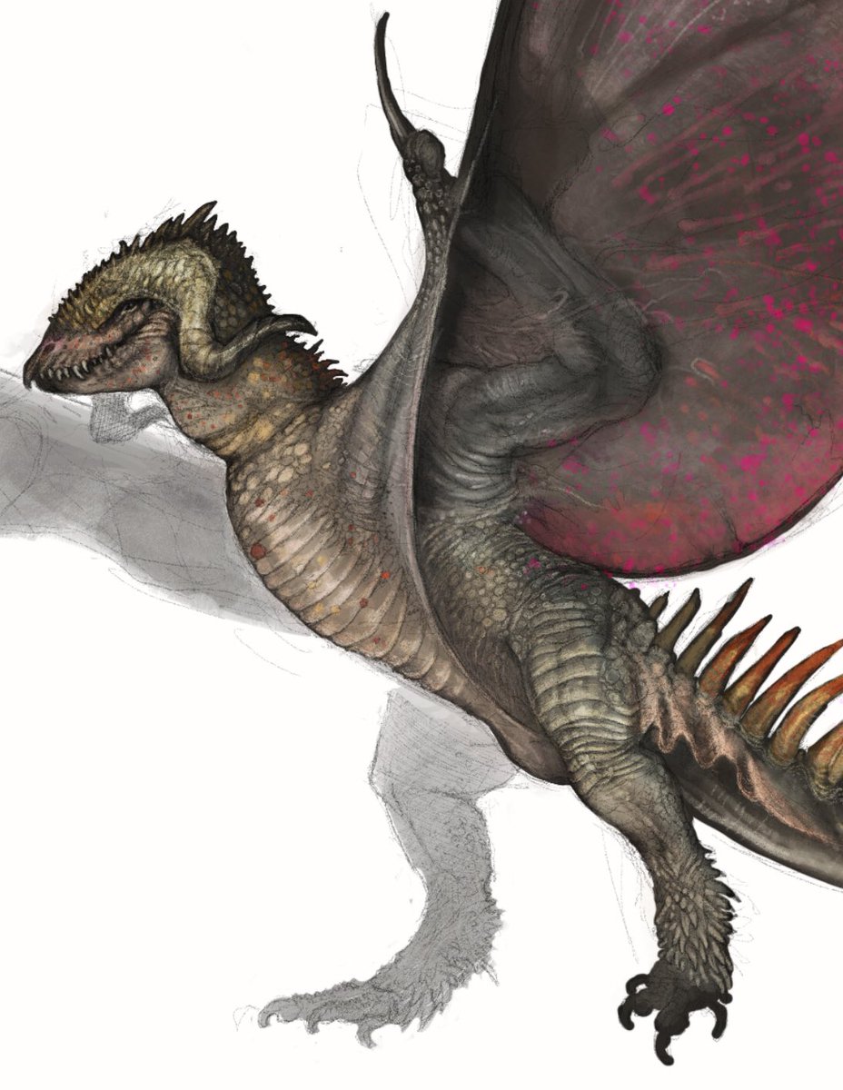 sawyerleeart's tweet photo. Peek at an incoming dragon species https://t.co/eIaIPILbTb