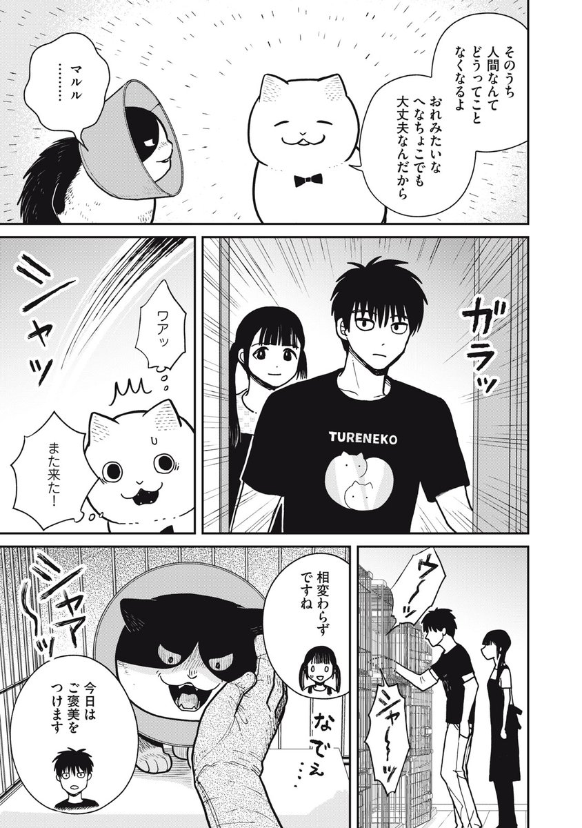 金曜日！ 『ツレ猫 マルルとハチ』無料話更新 第16話 魔法のにゃ～る