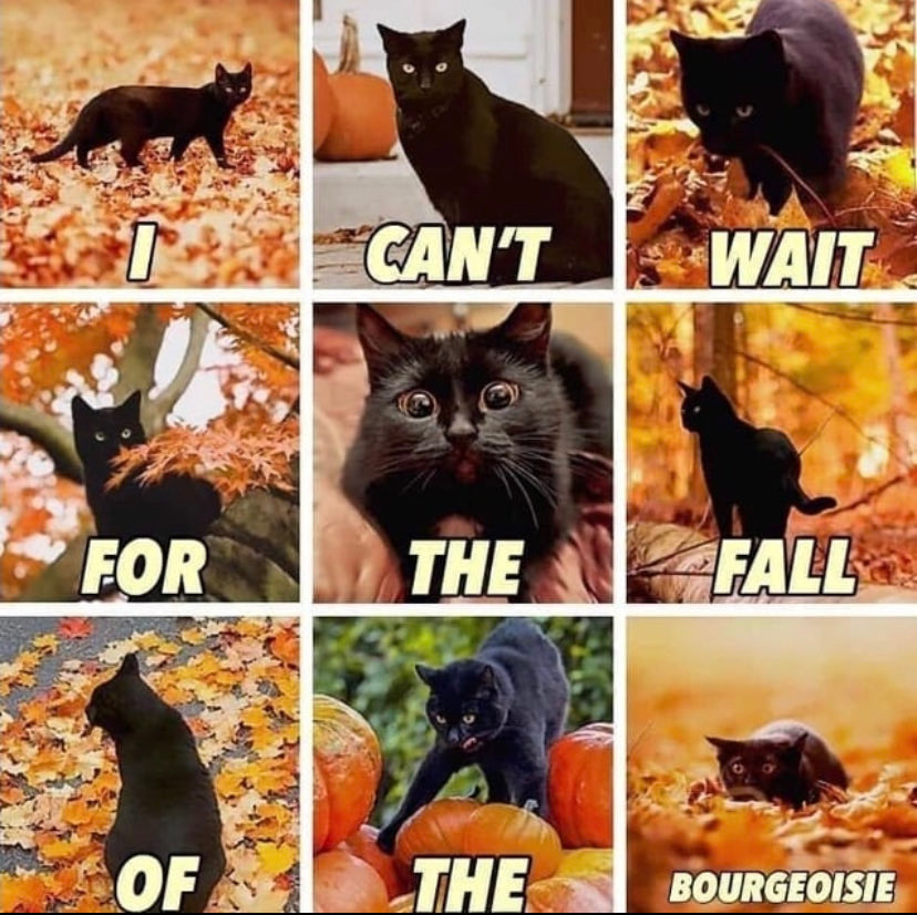 ID: Meme of a 3x3 grid filled with photos of black cats playing in fall leaves or next to pumpkins. Text reads, “I can’t wait for the fall of the bourgeoisie”