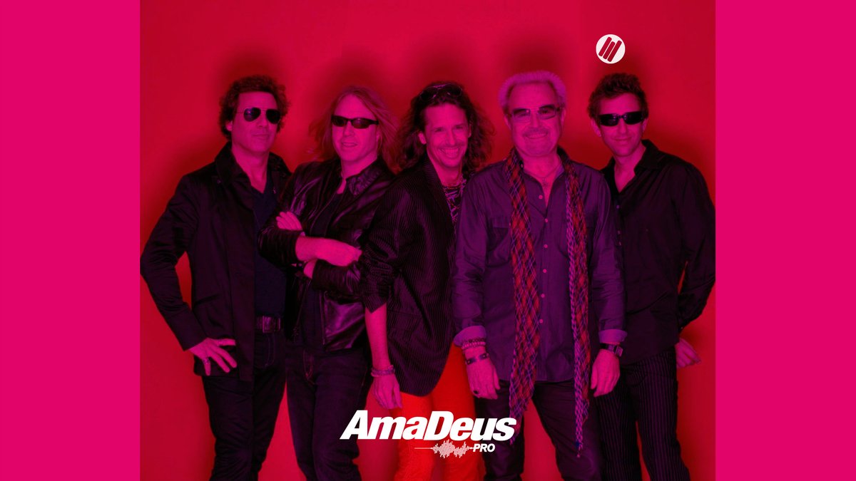AmaDeuspro.Network tweet media