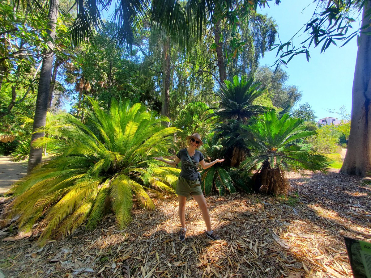 stopped by the UCLA botanical gardens to see some cool ferns before my oral presentation tonight at #Yeast22! hope to see you there as I talk about our progress towards humanizing entire metabolic pathways in yeast.