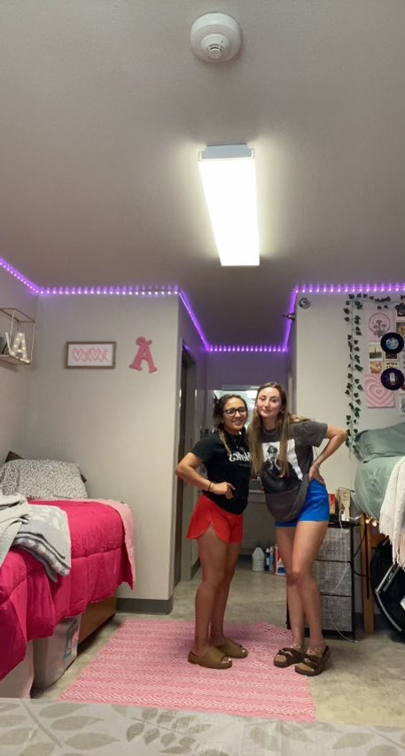 Lamar CC Softball tweet media