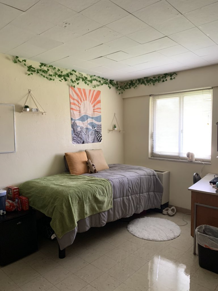 Lamar CC Softball (@lamarccsoftball) on Twitter photo It’s move in day for the Lady Lopes! 🤪 #rolllopes It’s move in day for the Lady Lopes! 🤪 #rolllopes