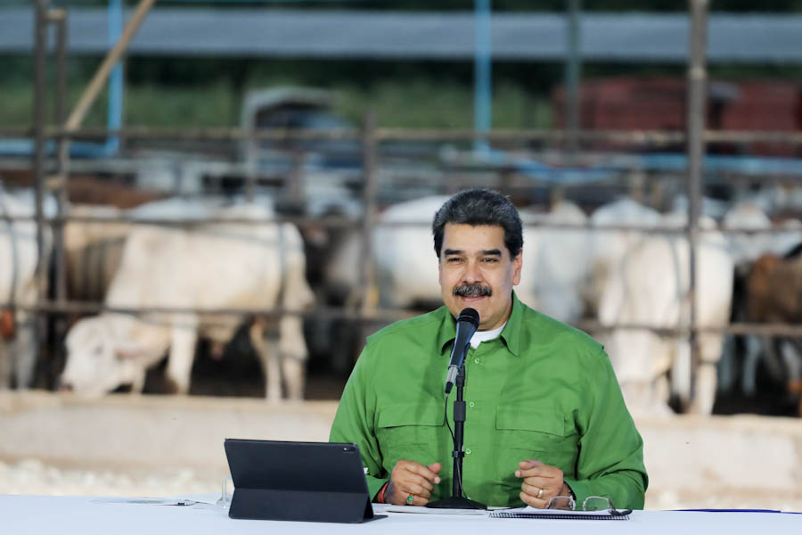 #DATO 📈 | Producción de cereal en Guárico cubre 40% de la demanda nacional ➡️ bit.ly/3K5T14b