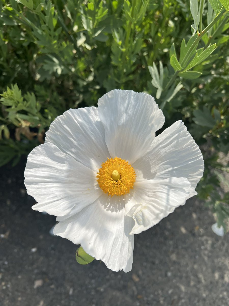 John and Bob's Smart Soil Solutions tweet media