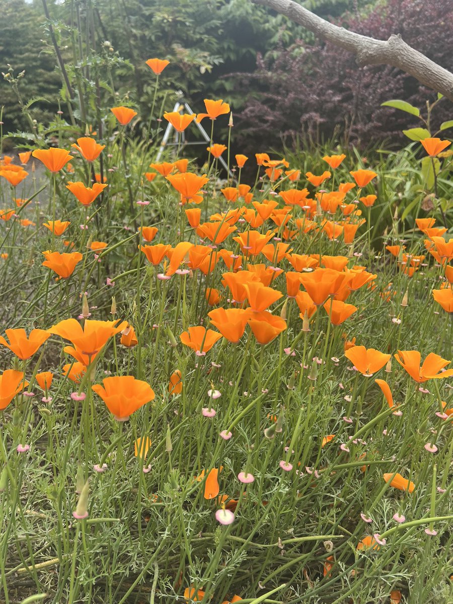 John and Bob's Smart Soil Solutions tweet media