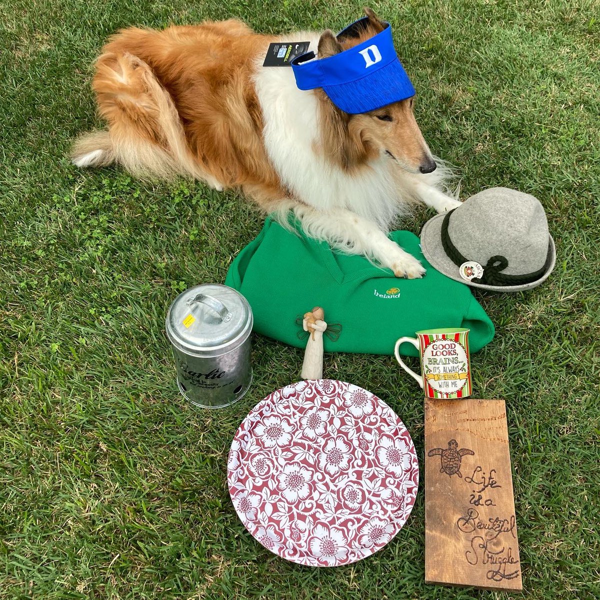 👒 🛍 🍀 Do I look like #MinniePearl with the price tag 🏷 still on my 👒 hat?  I’m busy inspecting some of the #thriftstorefinds mommy got today while she was celebrating 🥳 #NationalThriftStoreDay 
🛒🛍🛒

#ThriftShopDay #NationalThriftShopDay #thriftyshopper #thriftstorescore