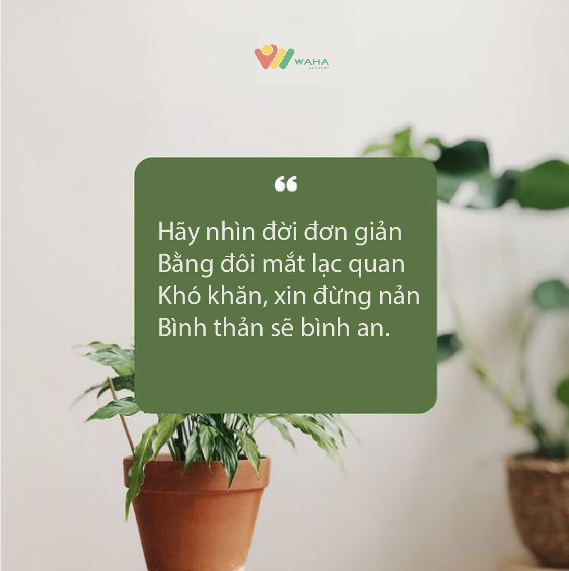 GroupWaha's tweet photo. Hãy nhìn đời đơn giản
Bằng đôi mắt lạc quan
Khó khăn, xin đừng nản
Bình thản sẽ bình an.

XEM THÊM TẠI ĐÂY: https://t.co/NzNHyN58vE
#quotes #haveagoodday #followforfollowback #follow #waha https://t.co/CDDOgAQlx9